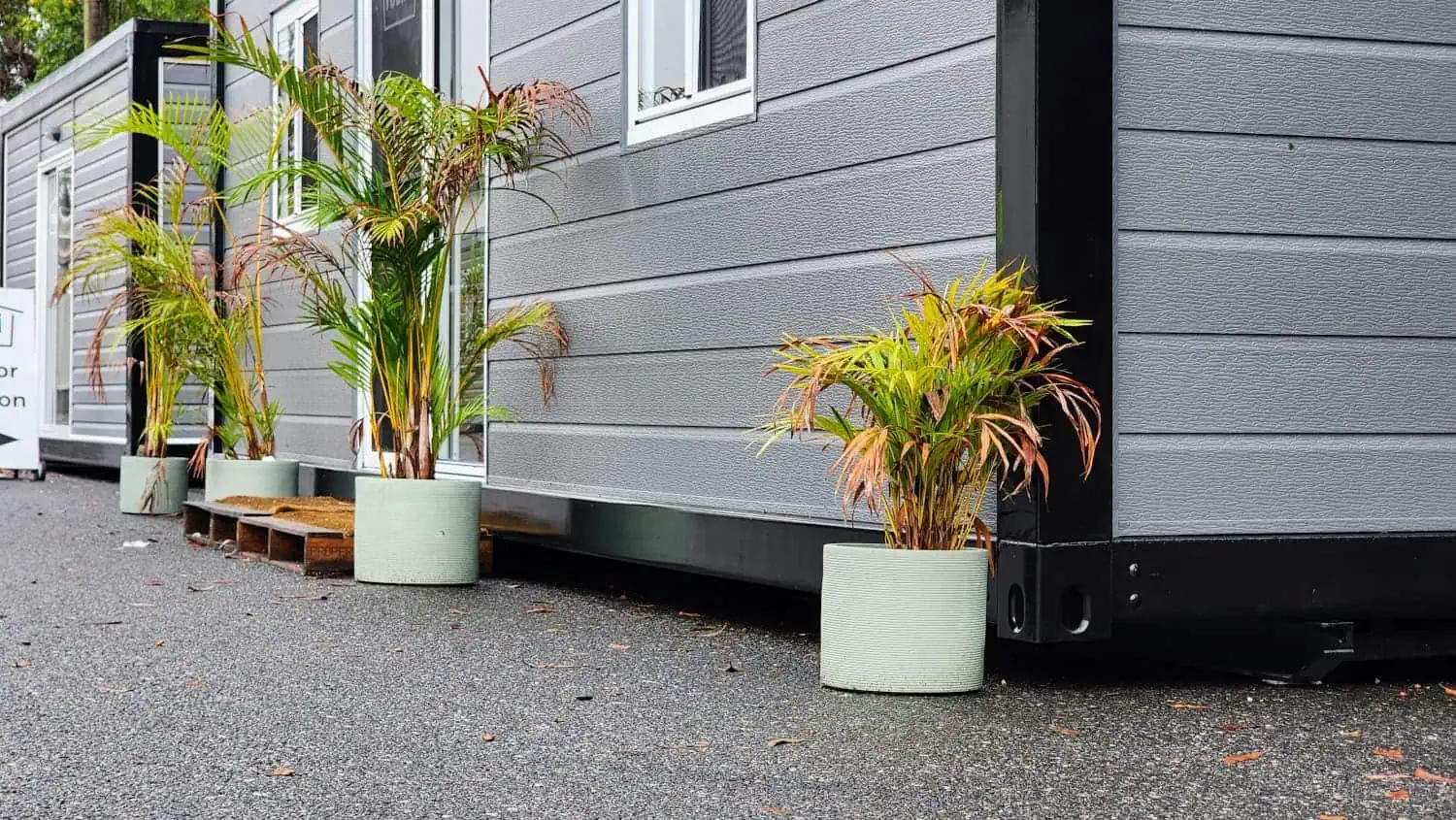 Potted plants outside some of our portable buildings